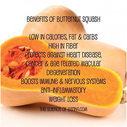 Butternut Squash