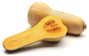 Butternut Squash
