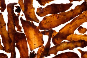 phpThumb_generated_thumbnail (1)