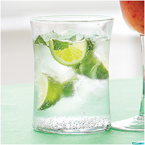 VirginMojito_article